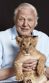 Tributes to former Redditch Mayor and community champion 'Auntie Madge'  Tillsley who has died, aged 93