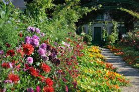 The Nasturtium Path At Claude Monet S Giverny Monet Garden Giverny Giverny Monet Front Yard Landscaping Design