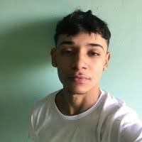 Wesley Gabriel Fernandes Dos Santos