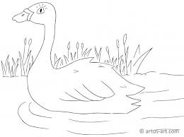 Color in this picture of a nurse swan and other animals with our library of online coloring pages. Swan Coloring Page Printable Coloring Page Artus Art