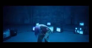 Image result for Olax pentandra