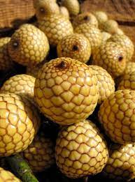 Rattan Fruit & Kalinga Tattoos... - Market Manila