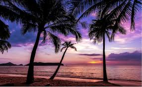 35 Inspirational Joseph Campbell Quotes On Success Awakenthegreatnesswithin