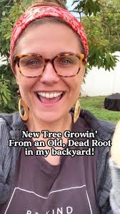 Hurricane Ian Stump Pass Marina