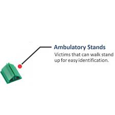Image result for JumpSTART Triage