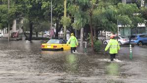 Inundaciones y árboles caídos tras fuerte lluvia que colapsó vialidades en Guadalajara y Zapopan