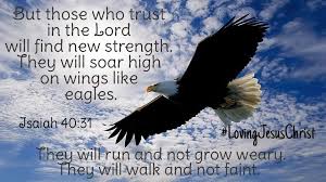 But Those Who Trust In The Lord Will Find New Strength They Will Soar High On Wings Like Eagles They Will Run And Not Grow Weary They Will Walk And Not Faint