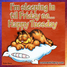 We did not find results for: Good Morning Thursday Blessing Images And Quotes Sharing Positive