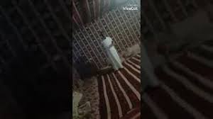 بما أنه ‏تستطيع ارسال فيديوهات كبيرة الحجم حيث تستطيع ارسال فيديو حجمه. ØªØ­Ù…ÙŠÙ„ Ø£ØºÙ†ÙŠØ© Ø¬Ø¯ÙŠØ¯ Ù…Ø¬Ø§Ù‡Ø¯Ø© Ù„Ø§Ù†Ø¬ÙŠÙƒÙ… Ù„Ø§ØªØ¬ÙˆÙ†Ø§ Mp3 Mp4