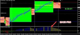 Collaboration tools reviews, comparisons, alternatives and pricing. Tradermatic Review Understanding Tradermatic Trading Software Emmanuel Adegbola