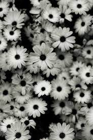 Background Black And White Wallpaper Tumblr Pin On Pastel Grunge Life