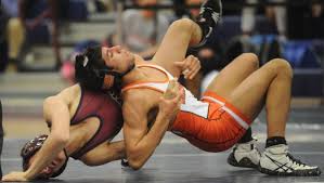 WRESTLING: District tournament previews