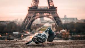 Yeah, they want to kill them for that. 58 Absolutely Beautiful Love Poems You Should Read Right Now