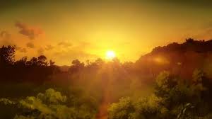 Check spelling or type a new query. Anime Sunset Scenery Forest Anime Sunset Nature Hd Wallpaper Peakpx