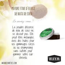 Poudre De Coque De Noix De Coco Fine Cosmetiques Faits Maison Noix De Coco Shampooing Sans Sulfate