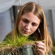 Unearthing complex connections: Bell Scherick's path in ecology