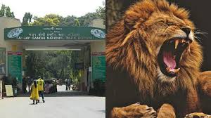 You Can Now Adopt A Wild Animal At ...