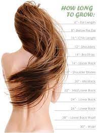 Hair Growth Calculator Tool From Jockey Of Banshee Hair Length Chart Hair Chart Hair Growth Charts
