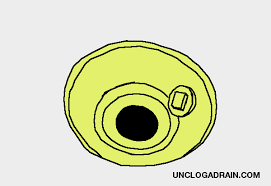 Basement drains are large but have an access point in the drain line. How To Unclog Basement Floor Drain Complete Guide