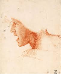 Leonardo famously wrote from right to left in his notebooks, using a backwards script that can only be read when placed in front of a mirror. A Year Of Events For 500 Anniversary Of The Death Of Leonardo Da Vinci