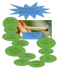 Uno dei punti principali da ricordare per la stesura del saggio breve della maturità è che è necessario esporre in maniera chiara i dati che emergono dai documenti allegati e presentare la propria tesi sull'argomento con esempi e. Fumo E Alcol Tesina Terza Media Tema Su Spezia Alcol Ed Fumo