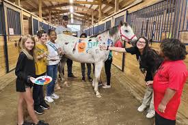 Nexus Equine: Horse Adoption at the Next Level