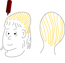 Instructions Nontoxic Head Lice Treatment