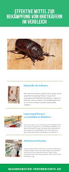Man findet ihn fast auf der ganzen welt, aber nur wo es. Brotkafer Bekampfen Die Besten 7 Mittel Im Vergleich Neu
