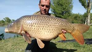 Plus précises et 4 fois par jour. Fermeture De La Peche Aux Lacs De Saint Jean Pla De Corts Lindependant Fr