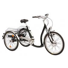 Wild Eagle Dreirad 26 24 Elektro Made In Germany B Ware Schwarz Amazon De Sport Freizeit Dreirad Elektrofahrrad Fahrrad Selber Bauen