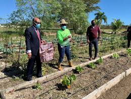 Janssen pharmaceuticals companies of johnson & johnson. Min Of Education Praises Students Of C V Bethel School S Agricultural Program Zns Bahamas