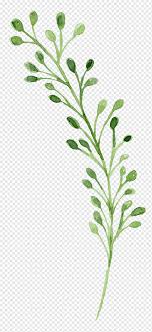 Flores De Acuarela Verde Acuarela Las Flores Png Pngwing ✓ gratis para uso comercial ✓ imágenes de gran calidad. flores de acuarela verde acuarela