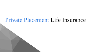 Insurance placement solutions staffing and recruiting des plaines, illinois 2,858 followers staffing and recruiting exclusively for the insurance industry. Ppli Life Insurance Defined Blog Michael Malloy Solutions