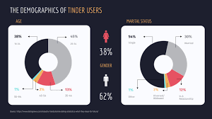 Demographics Of Tinder Users Pie Chart Template Visme