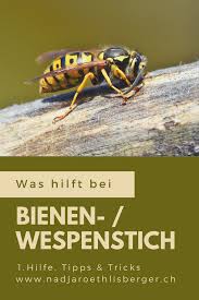 Was Hilft Bei Bienen Oder Wespenstich In 2020 Wespenstich Wespenstich Behandeln Bienen