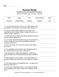 Worksheets are the language of anatomy, answers abdominal cavity anatomy physiology work, the language of anatomy, materials objectives, practical 1 work, anatomical terminology work 1, introduction to anatomyand physiology work, biology 230 human anatomy. Human Body