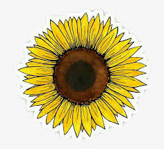 Blue aesthetic premium vinyl 50 pc. Stickers Cute Rose Yellowflower Brwon Aesthetic Flower Stickers Png Image Transparent Png Free Download On Seekpng