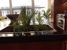 We did not find results for: Michel Mincin On Twitter In Kitchen Island Herb Garden Is In Full Effect Http T Co Is9jrxvnqx
