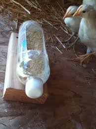 кормушка для птиц своими руками из коробки из под обуви Quick Feeder Chicken Coop Chickens Backyard Chicken Feeders