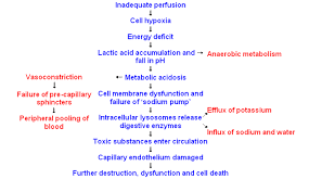 Shock - Physiopedia