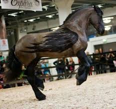 10 Totally Awesome Equine Clip Jobs Because It S Time To Stand Out Horses Beautiful Horses Animals