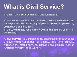 Therefore civil servants serve the people. Civil Service In Developed Developing Countries A Comparative Stu