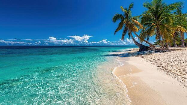 Sunny Beach Stock Photos, Images and Backgrounds for Free Download