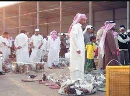 إعدام 60 ألف طير بعد اكتشاف انفلونزا الطيور في الرياض صحيفة المواطن الإلكترونية