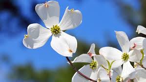 You'll enjoy relaxing rooms that offer air conditioning, a kitchenette, and a refrigerator, and you can stay connected during your stay as. Online Courses In Goldsboro Nc Pick Your School Ed2go