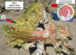 In the article about the fake plane crash there is at least one inconsistency. Was The Bagram Airfield Plane Crash Of 2013 An Act Of Terrorism