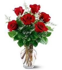 Some right reserved, and if the copyright of photo in this site is belongs to you. Send Flowers To Lexington Ky With Ashland Florist Your Online Flower Shop In Lexington Kentucky Ky