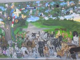 Our staff is friendly and we only suggest products that are suited to your application. Dunedin Florida Mural Downtown Dogedin One Of The Most Dog Friendly Towns In Florida Florida Vacation Dunedin Sister Cities