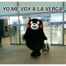 Me fui el himno de los migrantes venezolanos que reunió a diferentes cantantes latinos. Me Fui A La Verga