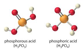 The ph scale measures the acidity or alkalinity of a solution. Molecular Structure And Acid Base Strength